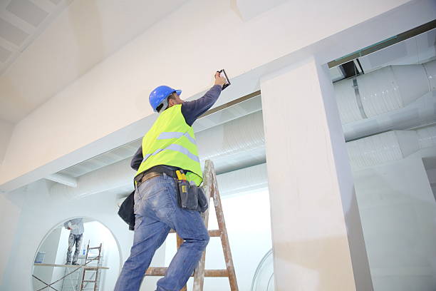 Best Drywall Removal and Disposal  in Lochbuie, CO